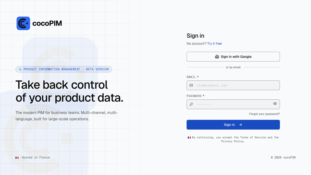 An organization’s sign-in page with the “Sign in with Google” button above the email / password form